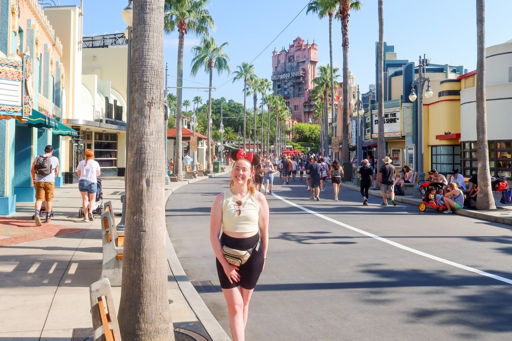 Walt Disney World Florida- How Much Does it Really&nbsp;Cost?